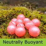 Mercurial Bead - Neutrally Buoyant - Sunrise