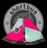 Shortbus Flashers 8" Triangle